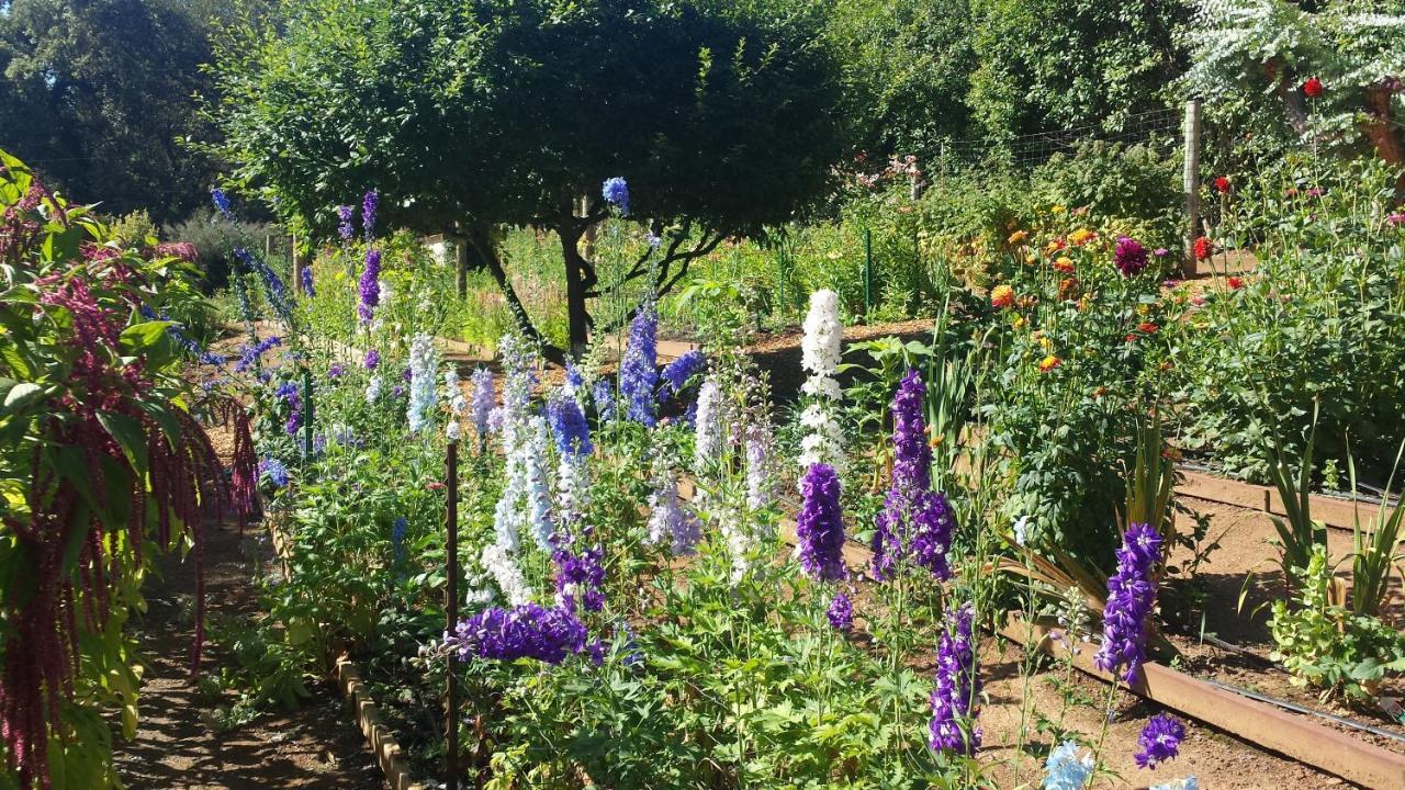 Madrona Manor Hotell Healdsburg Eksteriør bilde