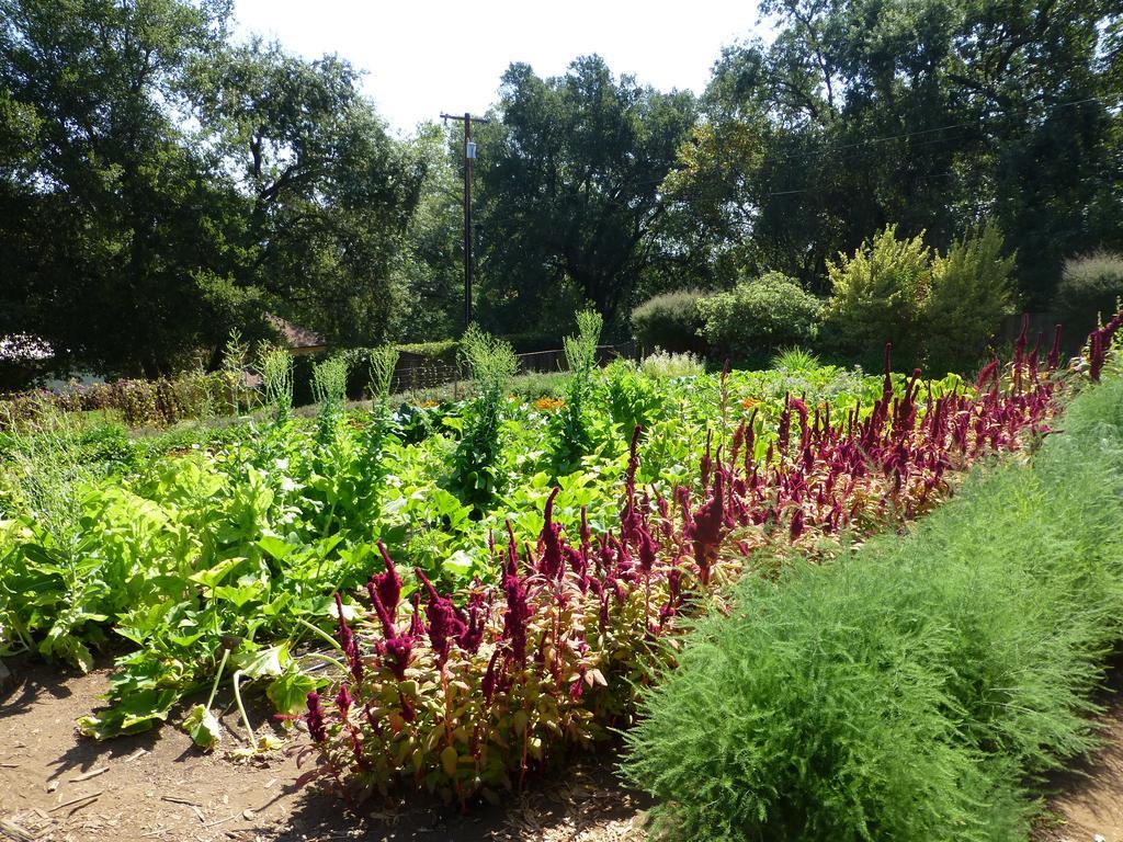Madrona Manor Hotell Healdsburg Eksteriør bilde